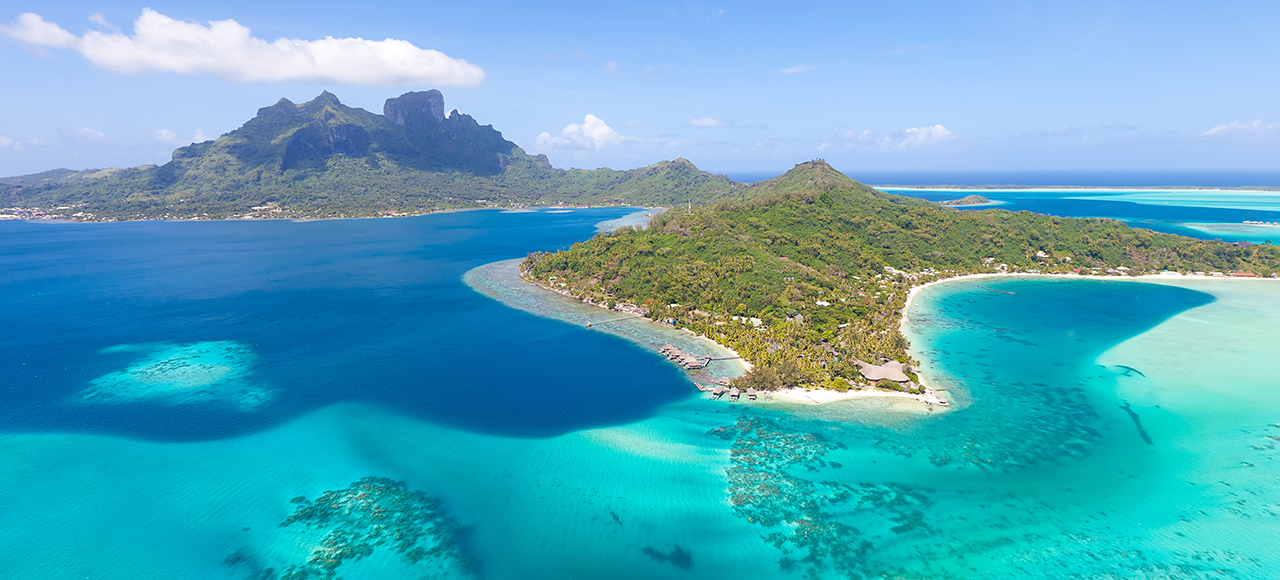 タヒチパールプロモーション